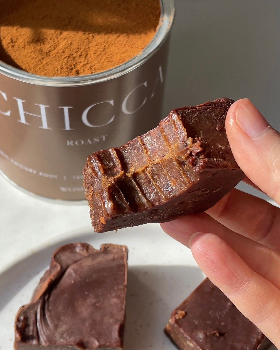 Raw Chicca fudge with the taste of chocolate, caramel and peanut ...