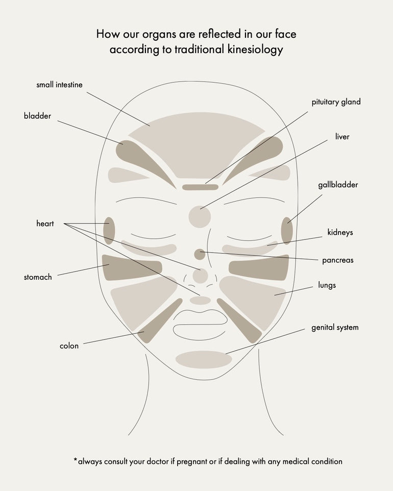 Face map acupressure pen reflexology